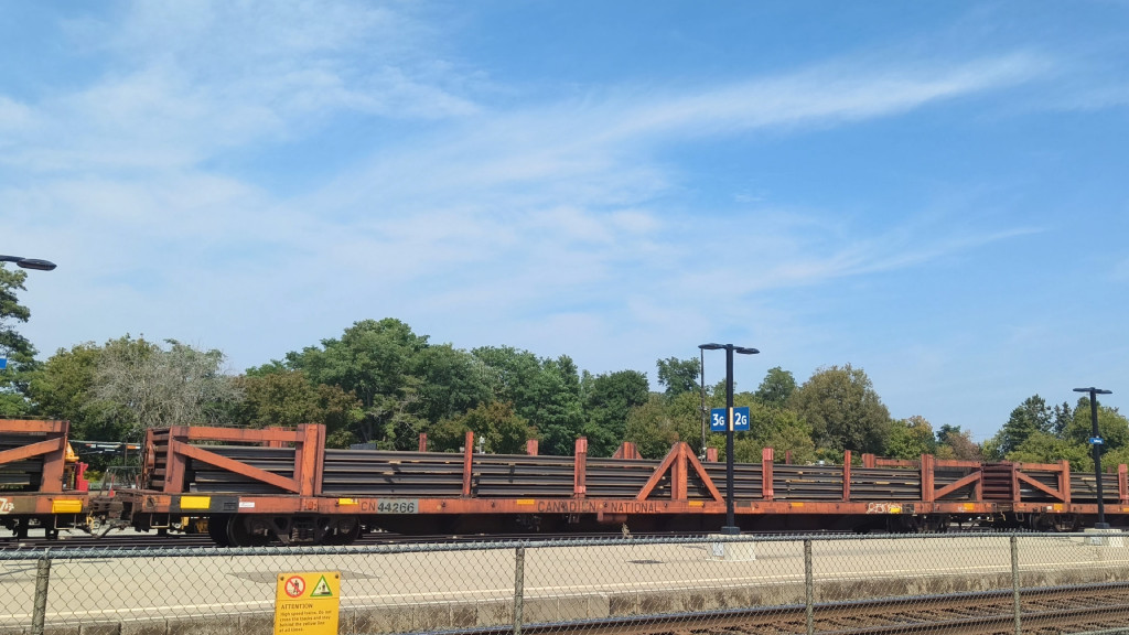 CN 44266